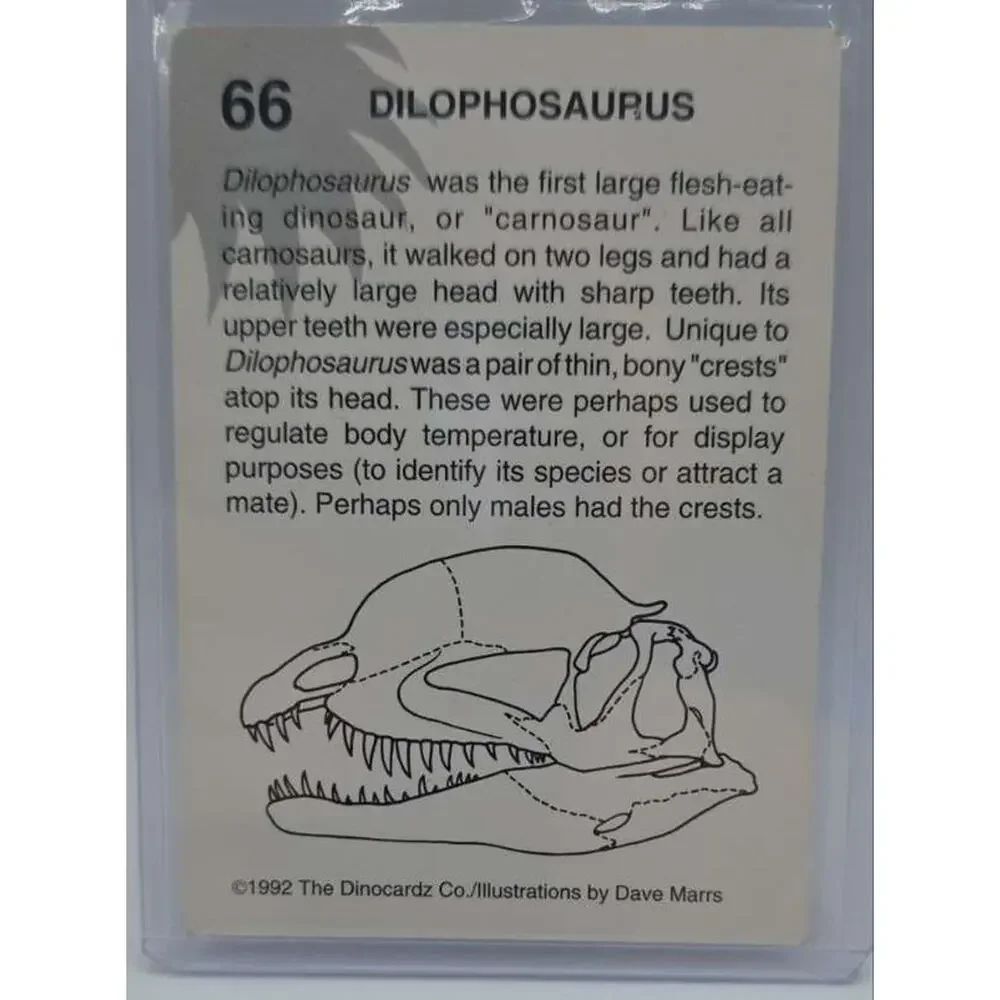 1992 DinoCardz #66 Dilophosaurus Card